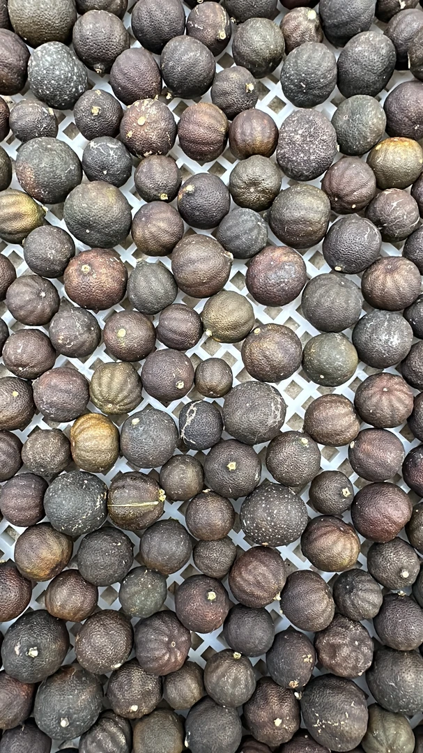 2024 东甲牛比围 柑宝 新会陈皮 生晒