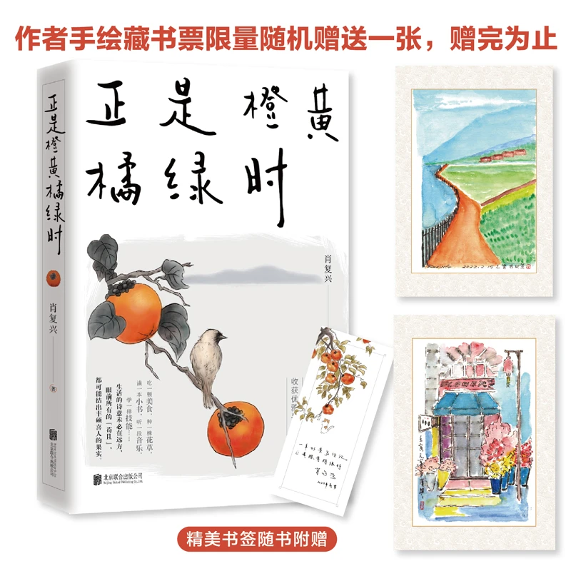 正是橙黄橘绿时 愿你爱这生活，更爱自己，笑着走路，享受人间