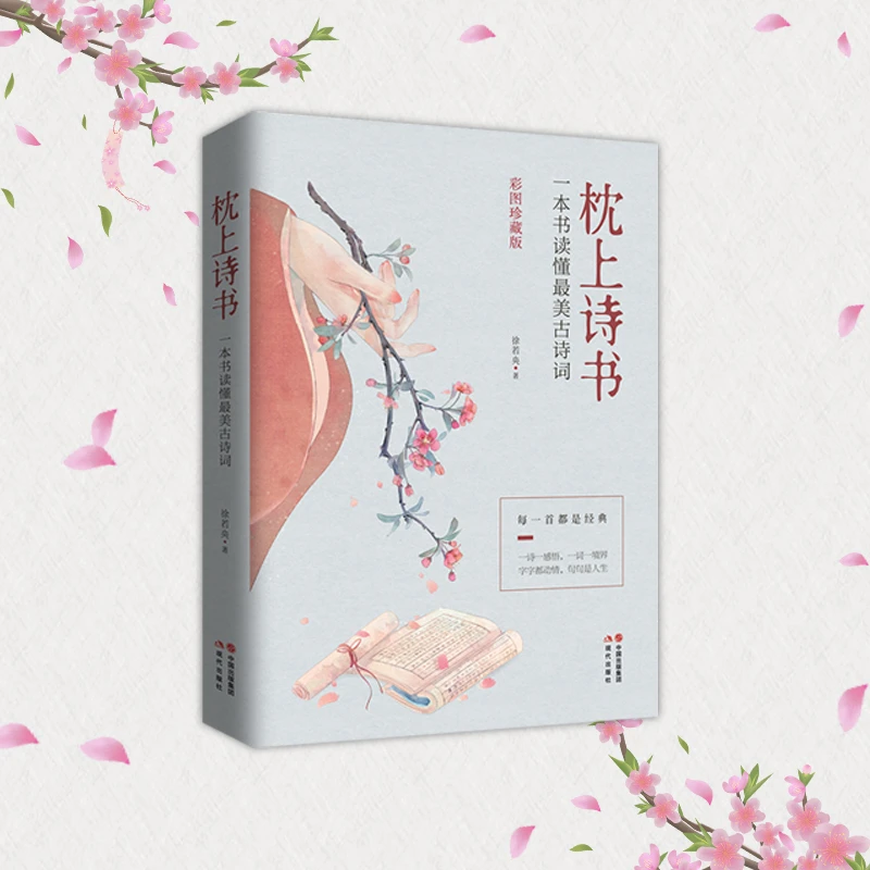 枕上诗书 中国诗词大会 一本书读懂古诗词 诗经中国古代文化书籍