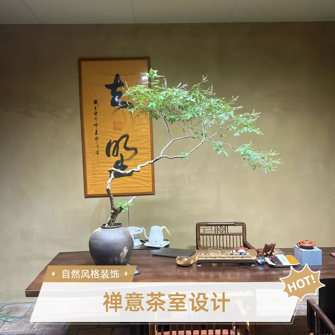 太行山小叶黄荆老桩茶室客厅绿植盆景
