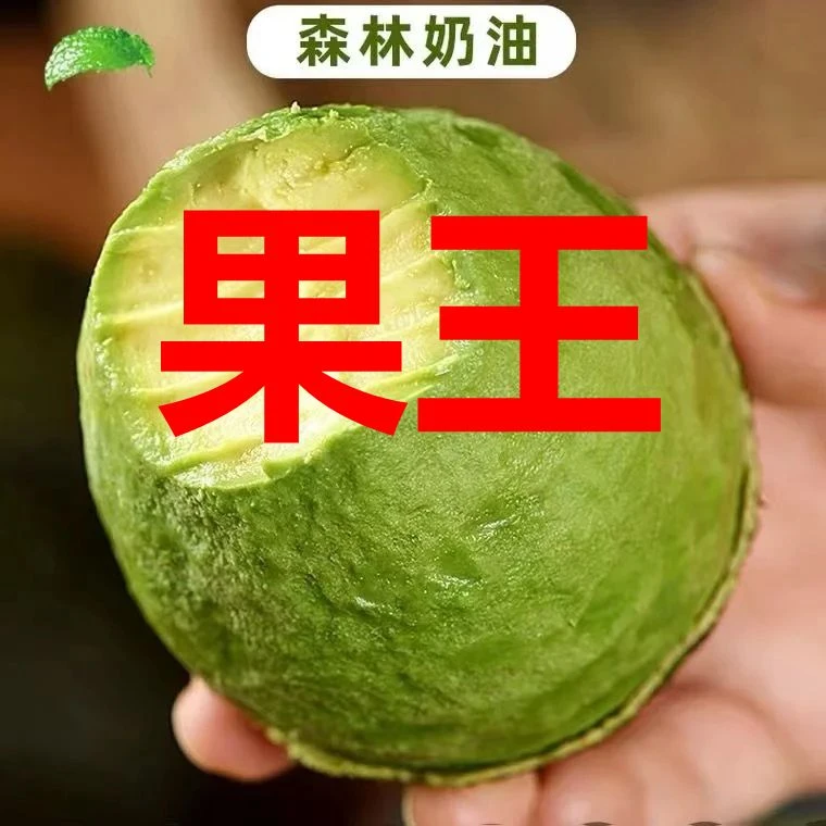 【大果王】6颗装单果200-260克正宗秘鲁哈斯牛油果