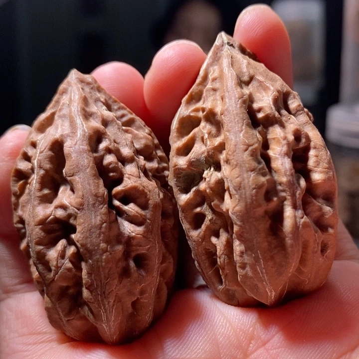 文玩核桃把件东北楸子 87