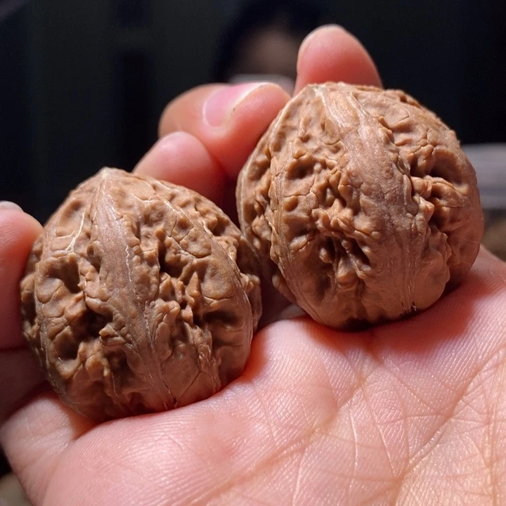 文玩核桃把件东北楸子64