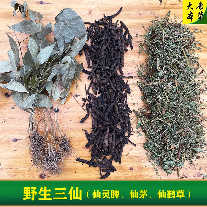 【大康本草】仙鹤草仙灵脾仙茅三仙汤草