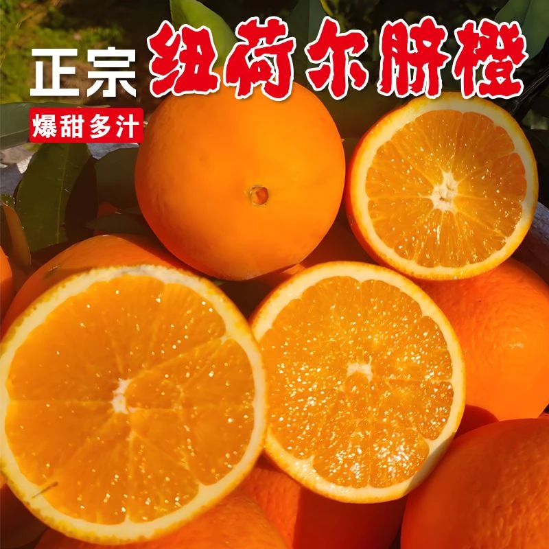 正宗纽荷尔脐橙新鲜现摘应季水果皮薄多汁香甜无渣榨汁首选