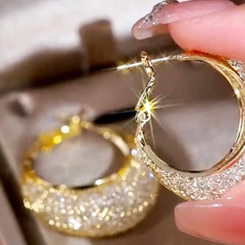 925银耳饰 dy网状水晶耳环女高级感网红同款圆圈耳圈独