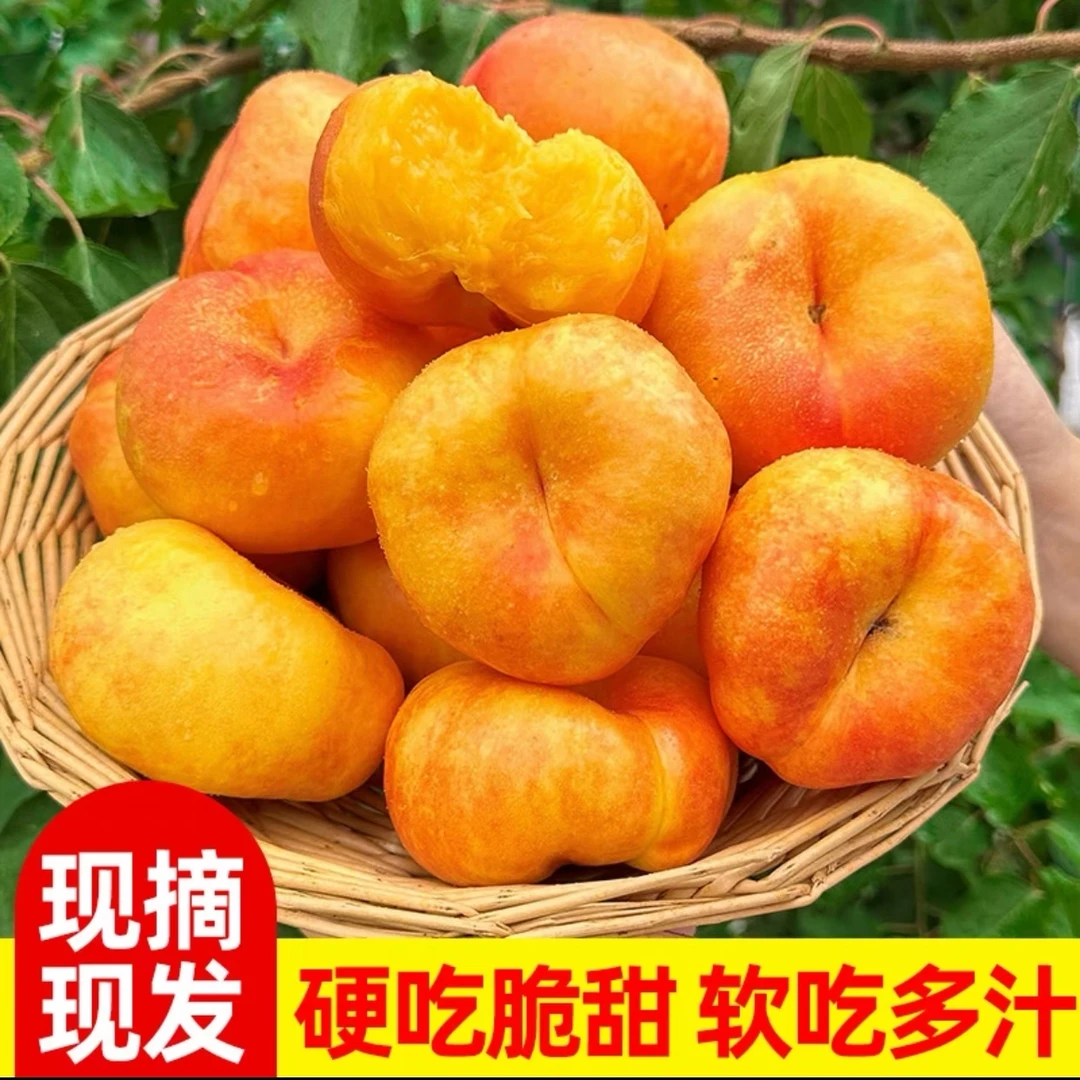 【陈支书专属】山东蒙阴黄金蟠桃现摘现发彩虹油蟠桃