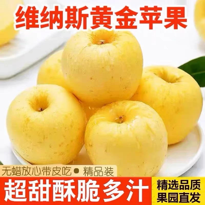 山东黄金维纳斯苹果脆甜多汁4.5斤装包邮
