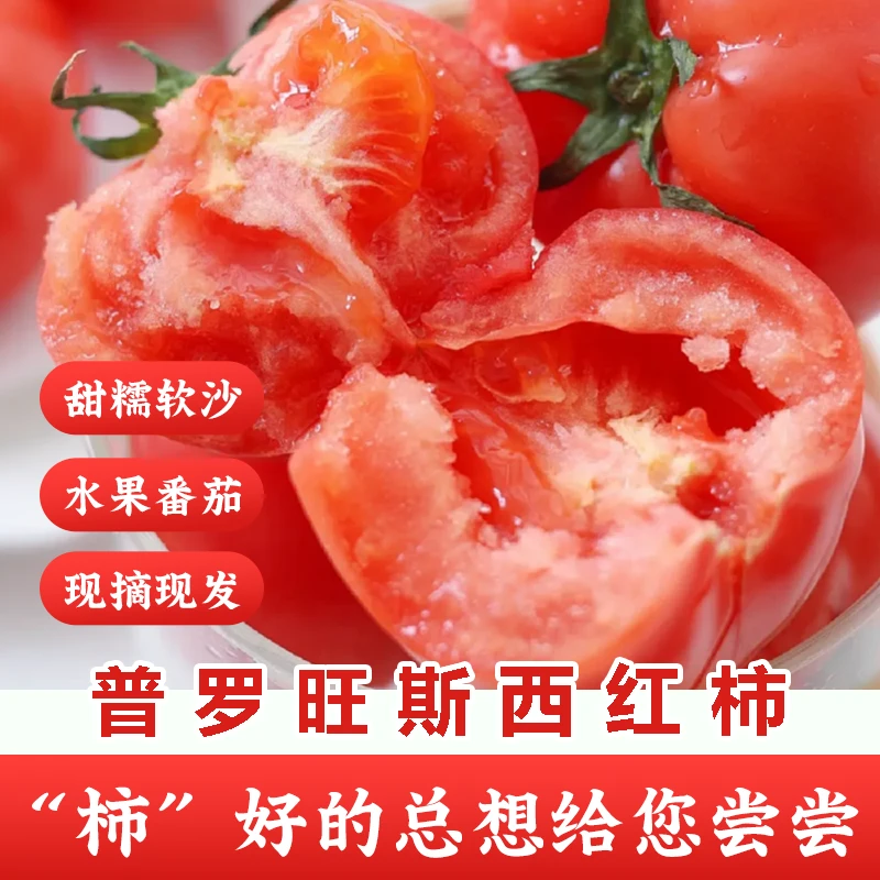 正宗山东寿光普罗旺斯西红柿沙瓤爆汁酸甜生吃新鲜汁水顺丰包邮4斤净重自然成熟番茄同城送番茄同城配