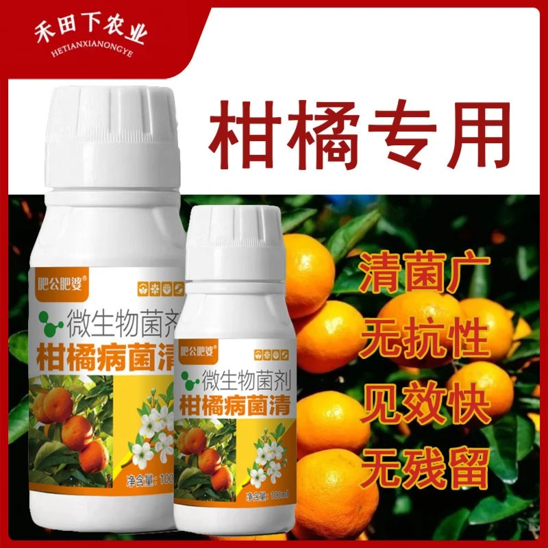 柑橘病菌清柑橘病溃疡流胶黑斑炭疽疮痂病微生物菌剂微生物肥料