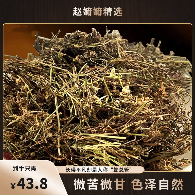 【赵麻麻精选】蛇舌草