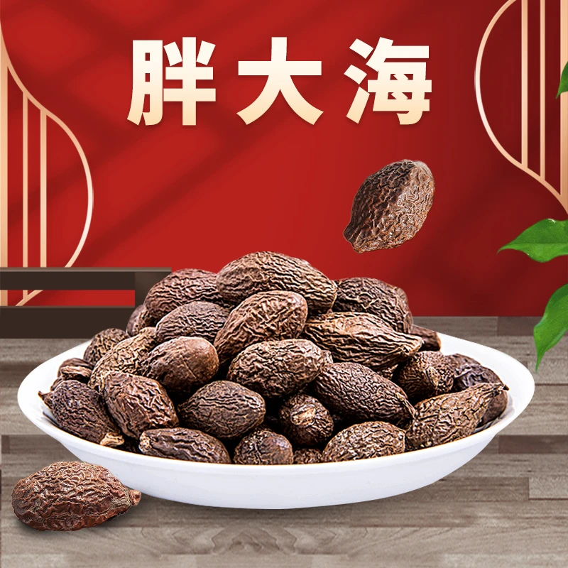 胖大海 泡水煮茶 精致小袋装