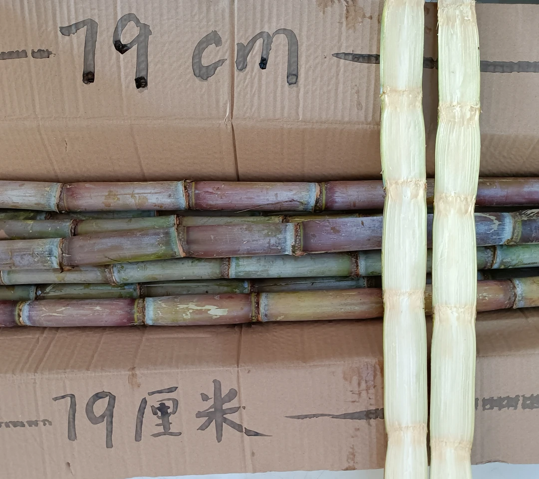 青皮甘蔗，每盒30斤。精选中段，去头去尾79厘米，