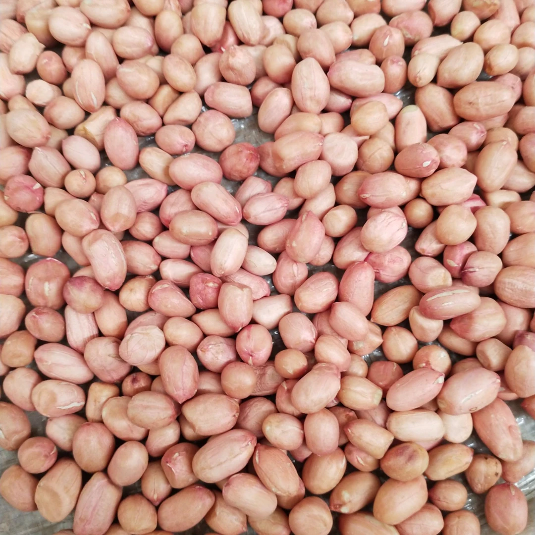 【祥坤农业】新鲜白沙花生米包邮 农家自产不催熟净重900-1850克装