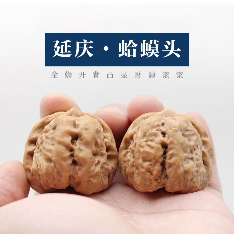 古品记【一代延庆蛤蟆头】金蟾核桃