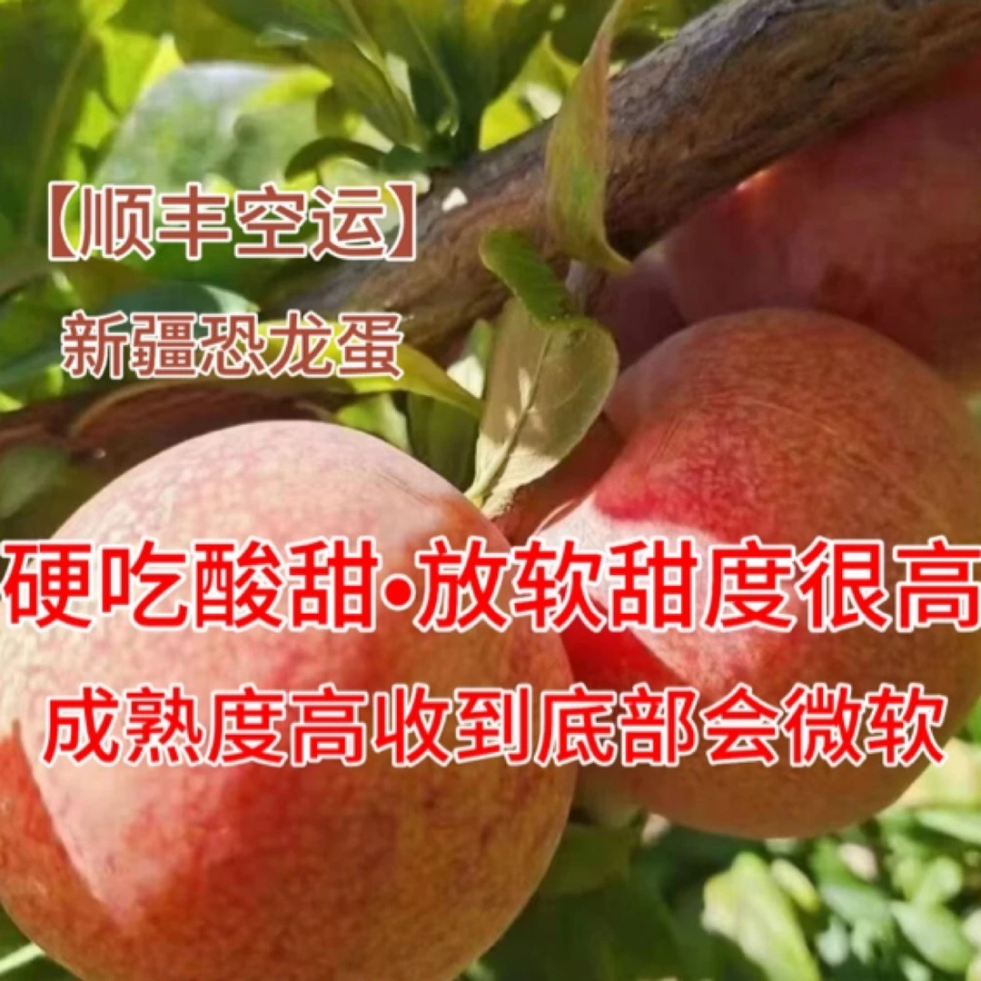 【顺丰空运】新疆喀什杏李恐龙蛋硬吃酸甜放软皮酸肉甜