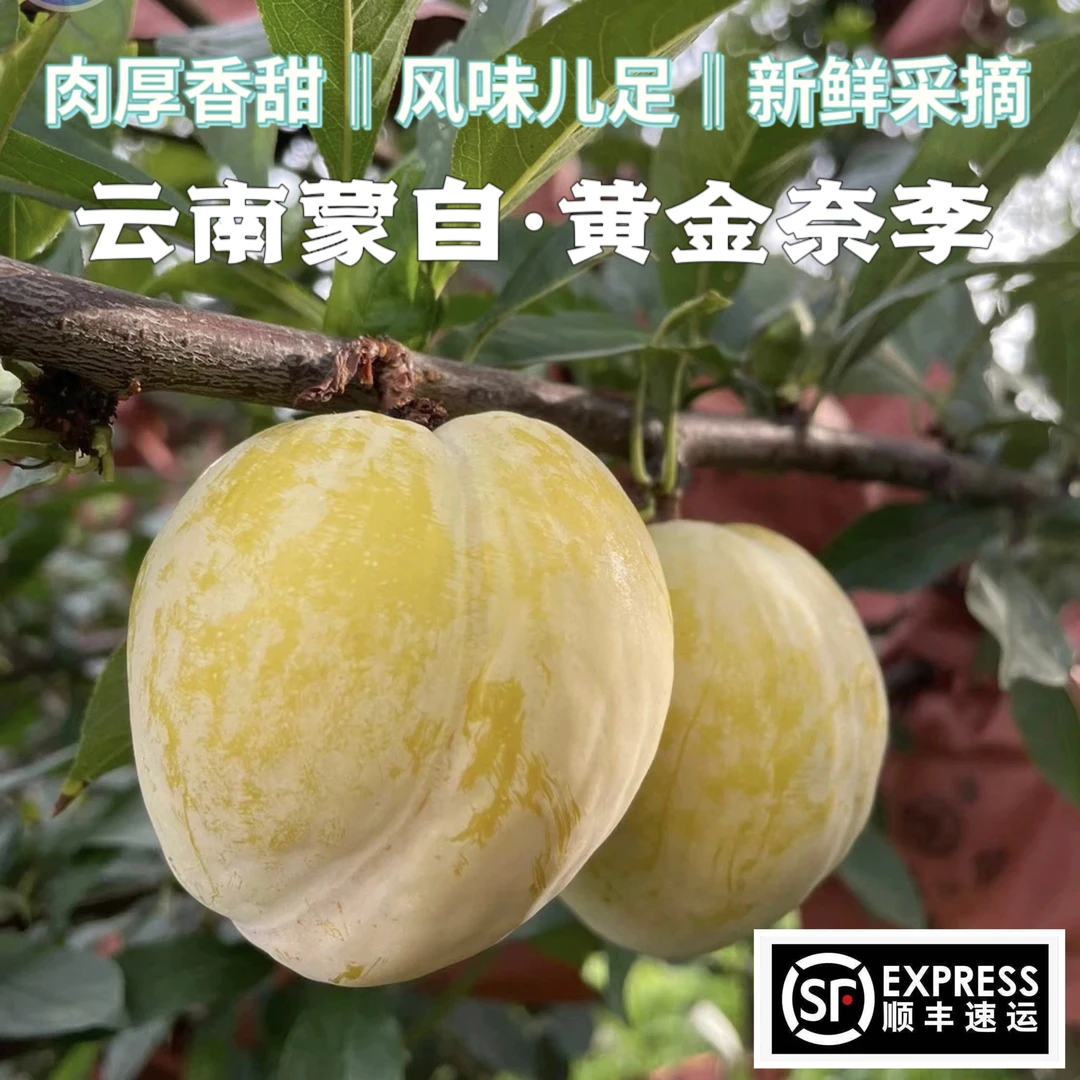 【顺丰包邮】云南蒙自黄金奈李肉厚香甜多汁风味儿浓3斤