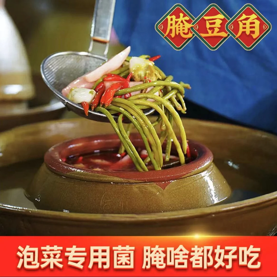 泡菜发酵菌 泡菜菌家用自制韩式辣白菜酸菜四川泡菜