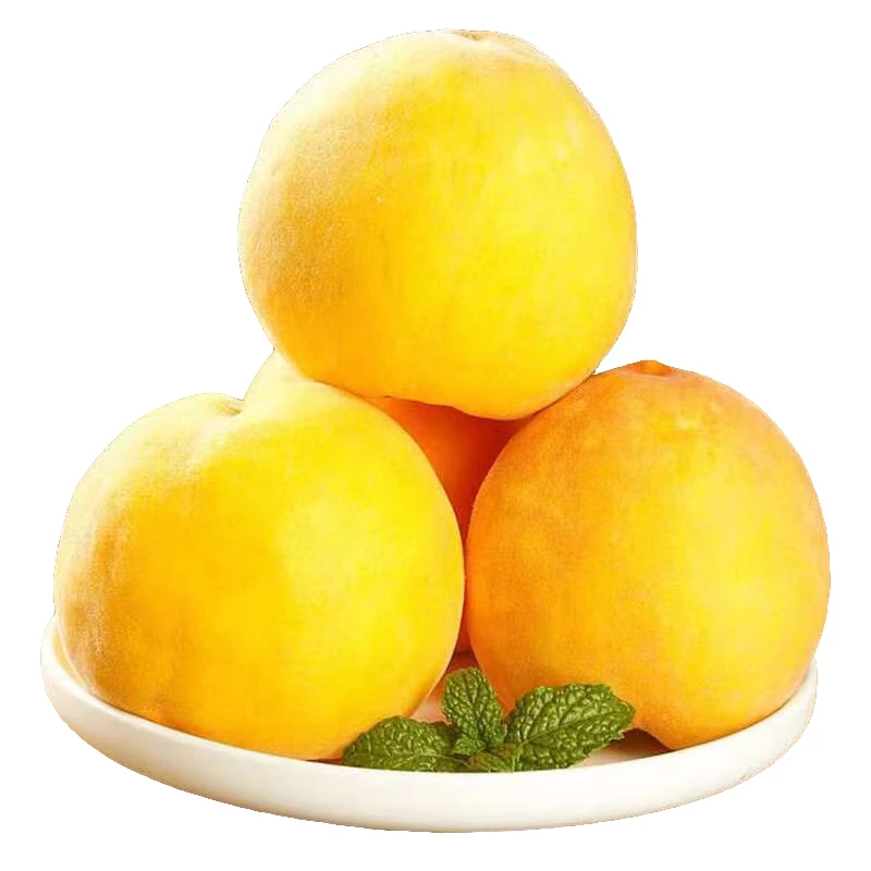 新鲜黄桃约1500g±100g