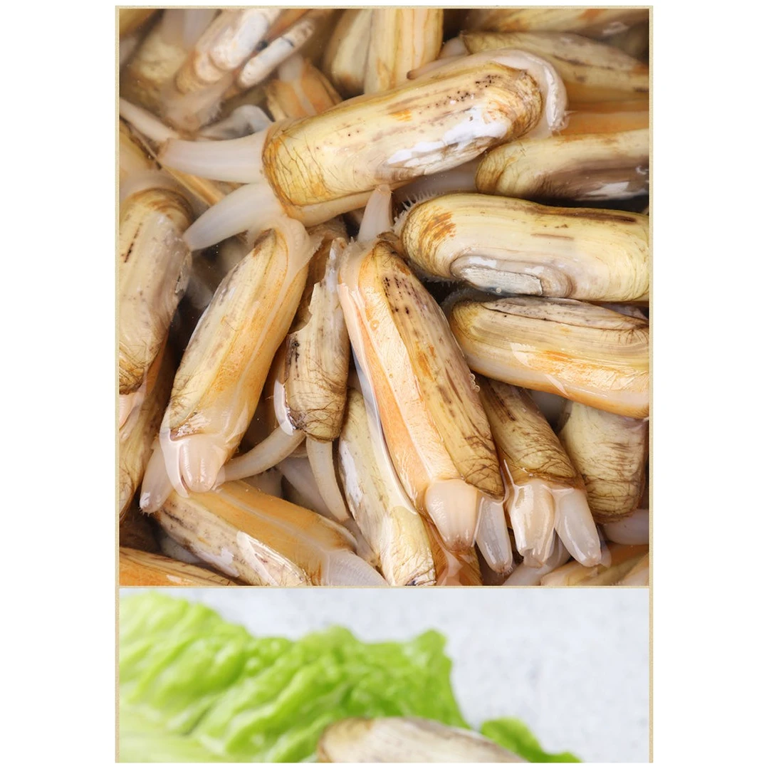 鲜活蛏子约500g(已吐沙，个别可能有沙）