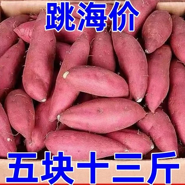 【抢购中】新鲜沙地红薯红心黄心蜜薯地瓜1-9斤番薯蔬菜水果板栗薯
