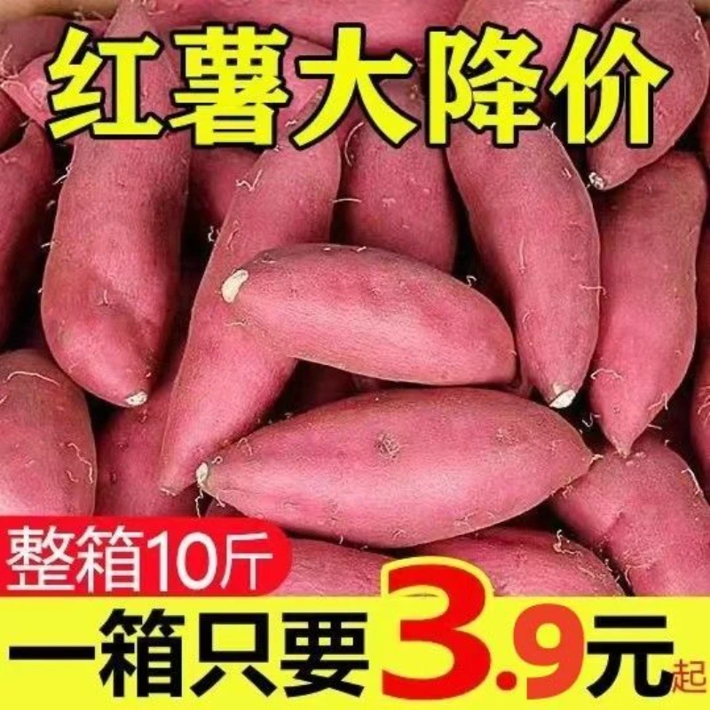【抢购中】超甜沙地红薯1-9斤新鲜红黄心蜜薯地瓜板栗番薯蔬菜水果