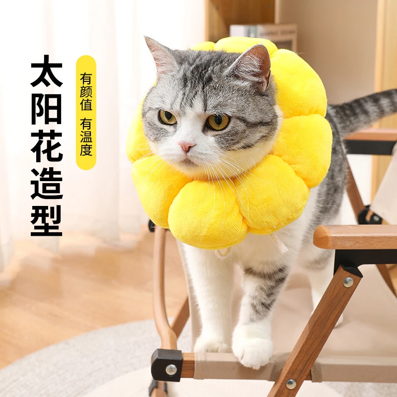 【呼呼】太阳花伊丽莎白圈宠物项圈猫咪白项圈狗项圈绝育防舔头套