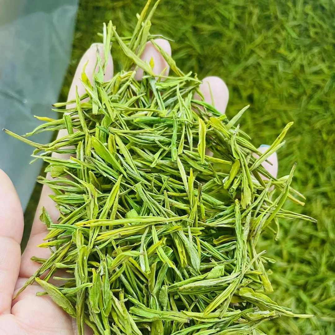 F28【2023年新茶】严府白茶天荒坪母本极白兰香奶香口粮茶安吉白茶