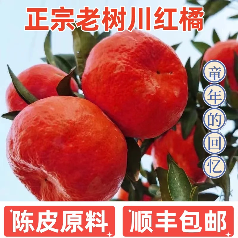 【根帝哥专属】川红橘 顺丰包邮 老树红橘 陈皮原料 带酸味，有籽