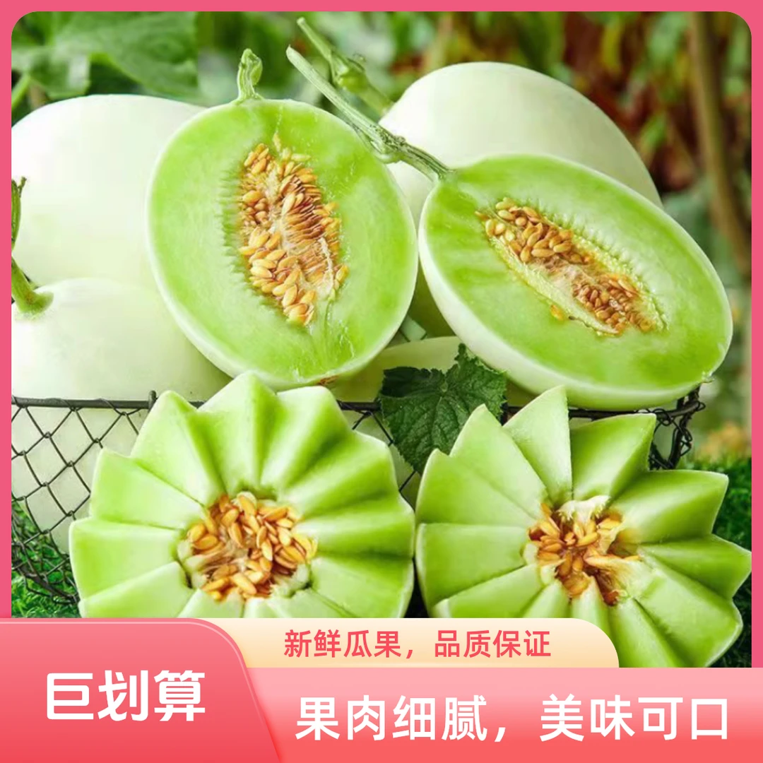 【产地直发】山东聊城玉菇甜瓜整箱正宗冰淇淋玉菇甜瓜白玉瓜蜜瓜