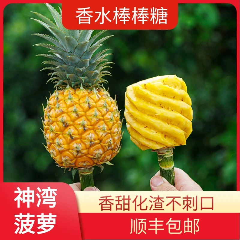 【香水棒棒糖菠萝】神湾菠萝5斤装2-5个香甜化渣不止于甜