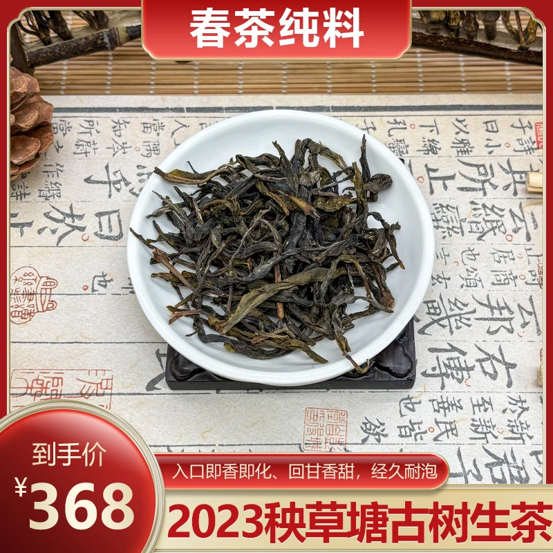 2023秧草塘古树生茶