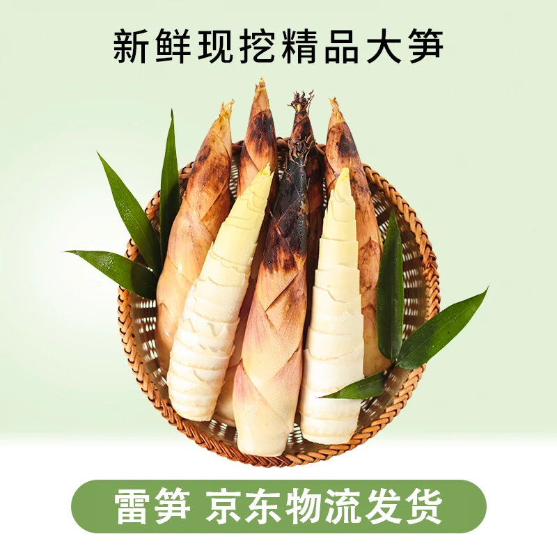 2024新鲜雷竹笋现挖嫩芽笋营养新鲜脆嫩雷笋3斤/5斤装京东物流