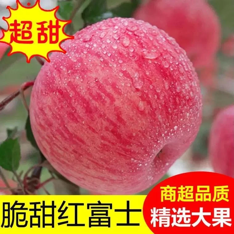 孕妇营养红富士苹果礼盒灵宝寺河山冰糖心新鲜好吃水果脆甜多汁