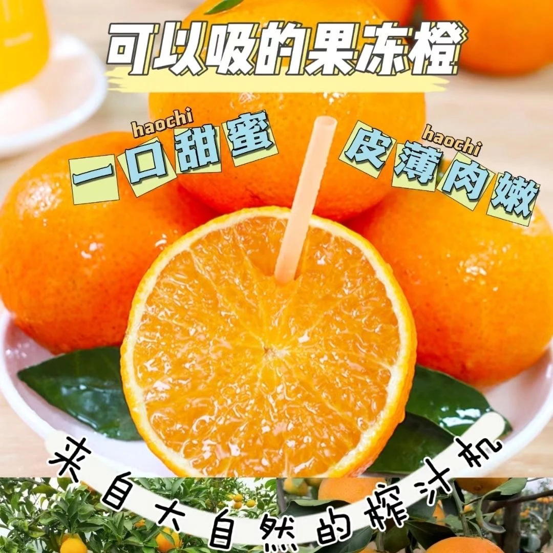 【口口爆汁】四川现摘现发爱媛果冻橙口感无核原生态好吃无渣果园