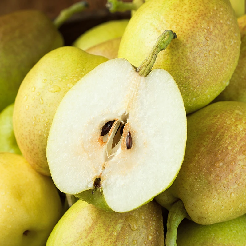 【买5斤送5斤】新疆库尔勒香梨产地直发新鲜水果脆甜多汁10斤装