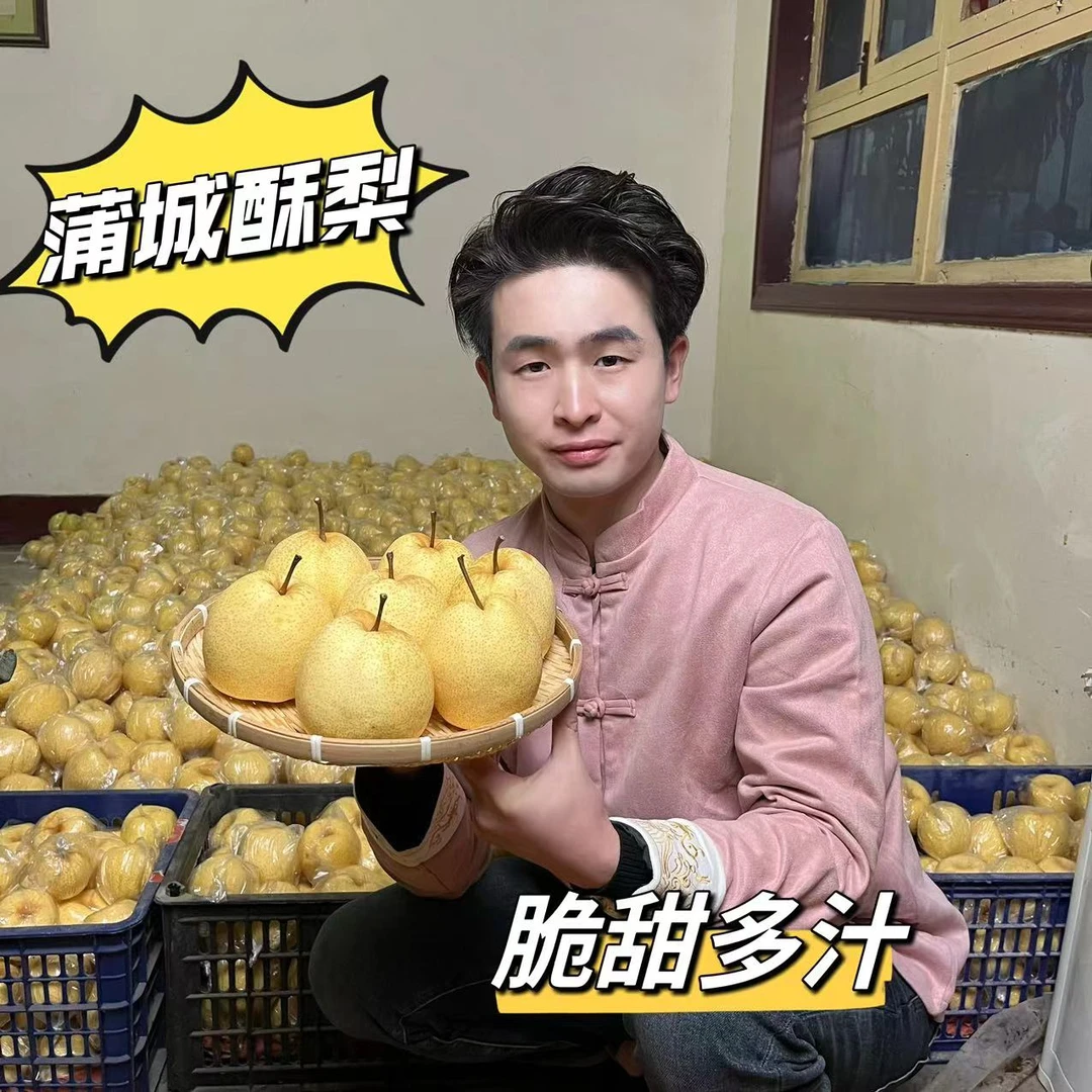 【馒头哥甄选】陕西蒲城酥梨清甜爽口多汁现摘现发新鲜好吃自家果园