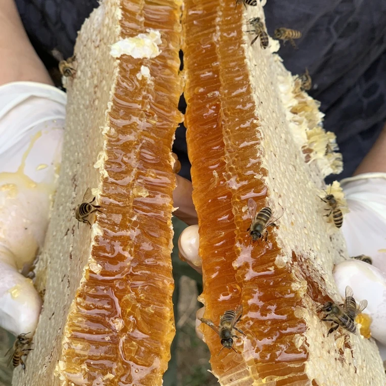 hengzhang/横樟一年取一次成熟蜂巢蜜百花蜜纯天然农家自产土蜂蜜