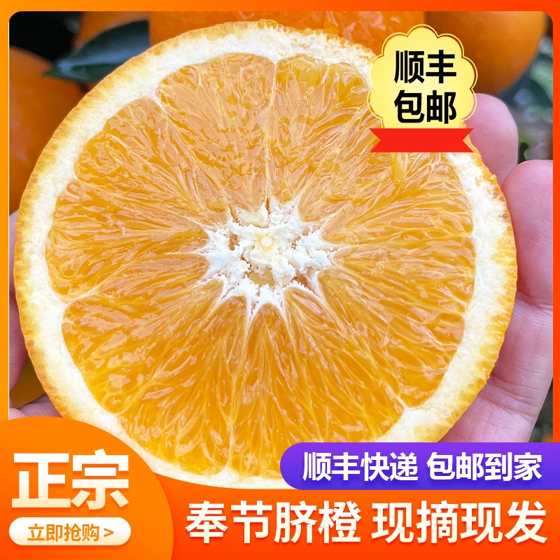 正宗奉节脐橙【圆虹】顺丰包邮 新鲜当季水果农家现摘现发橙子年货