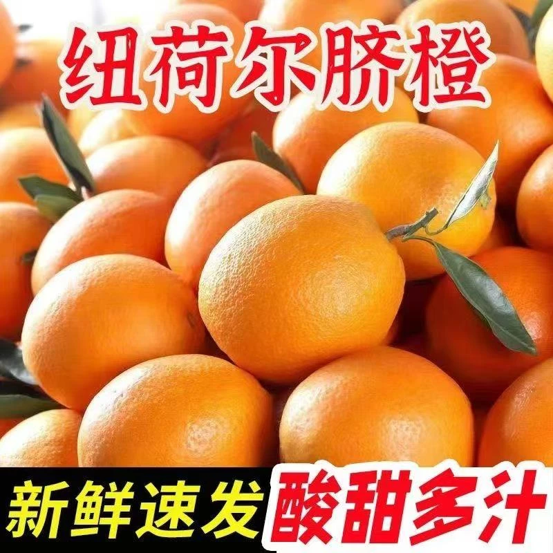 自家果园种植宜昌纽荷尔脐橙新鲜现摘现发