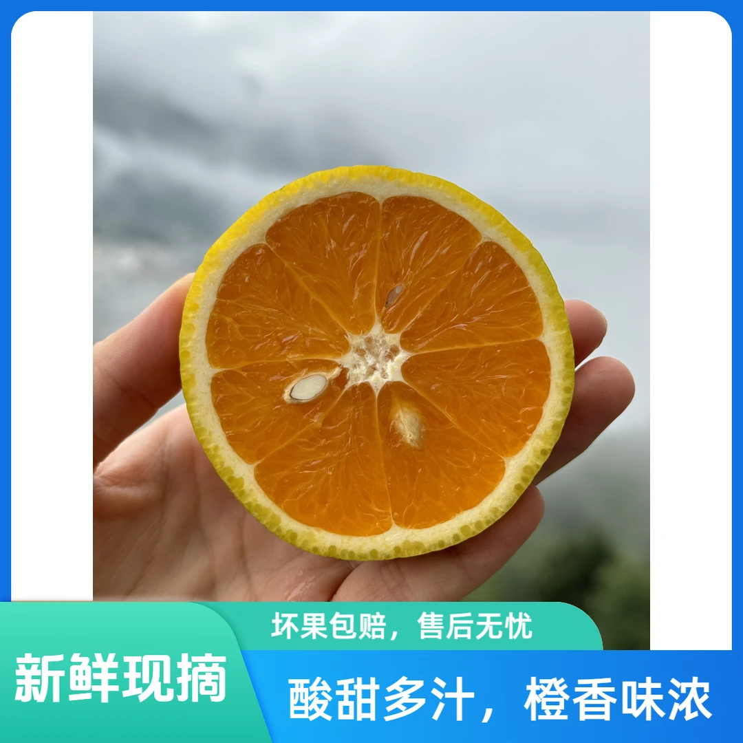 新鲜夏橙5-10斤果香浓郁爆汁微酸脐橙高山种植天然应季水果包邮