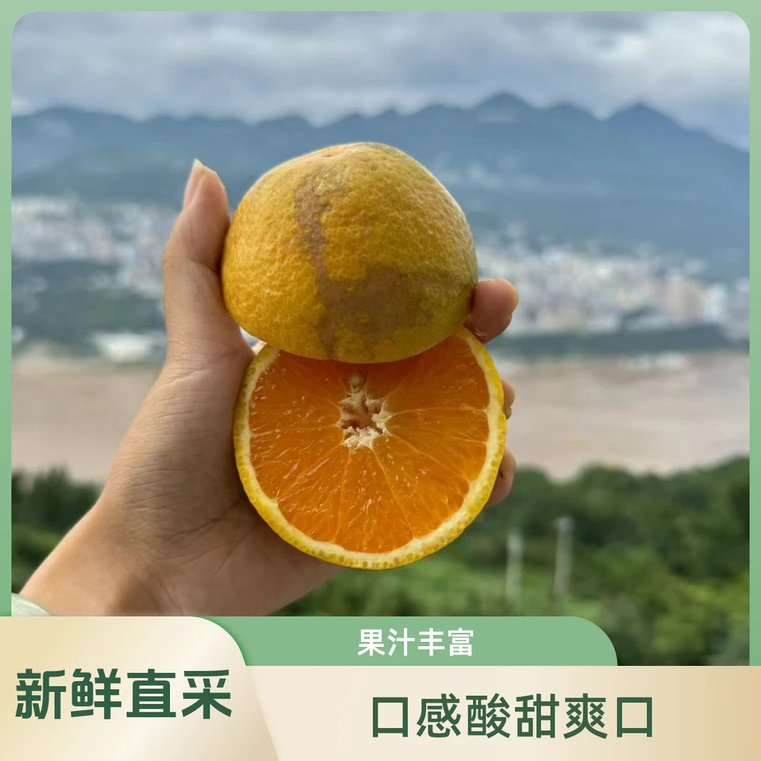 【榨汁橙】花皮粗皮夏橙丑果酸甜多汁橙子现摘果香充足新鲜皮薄盒装
