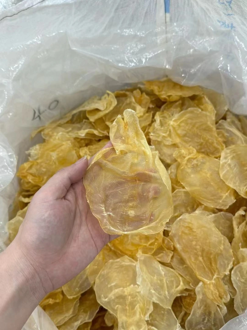 【阿梅滋补行】甲肚鱼胶 深海鱼胶老老货直播间现称
