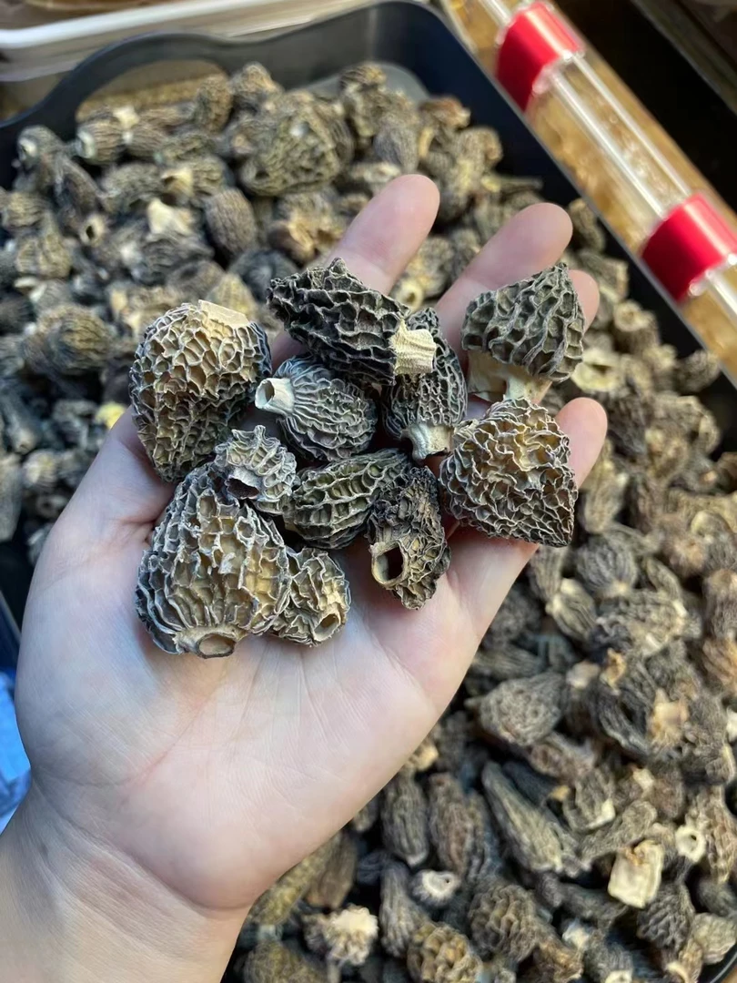 【阿梅滋补行】羊肚菌  鱼胶直播间现场称重100-500g