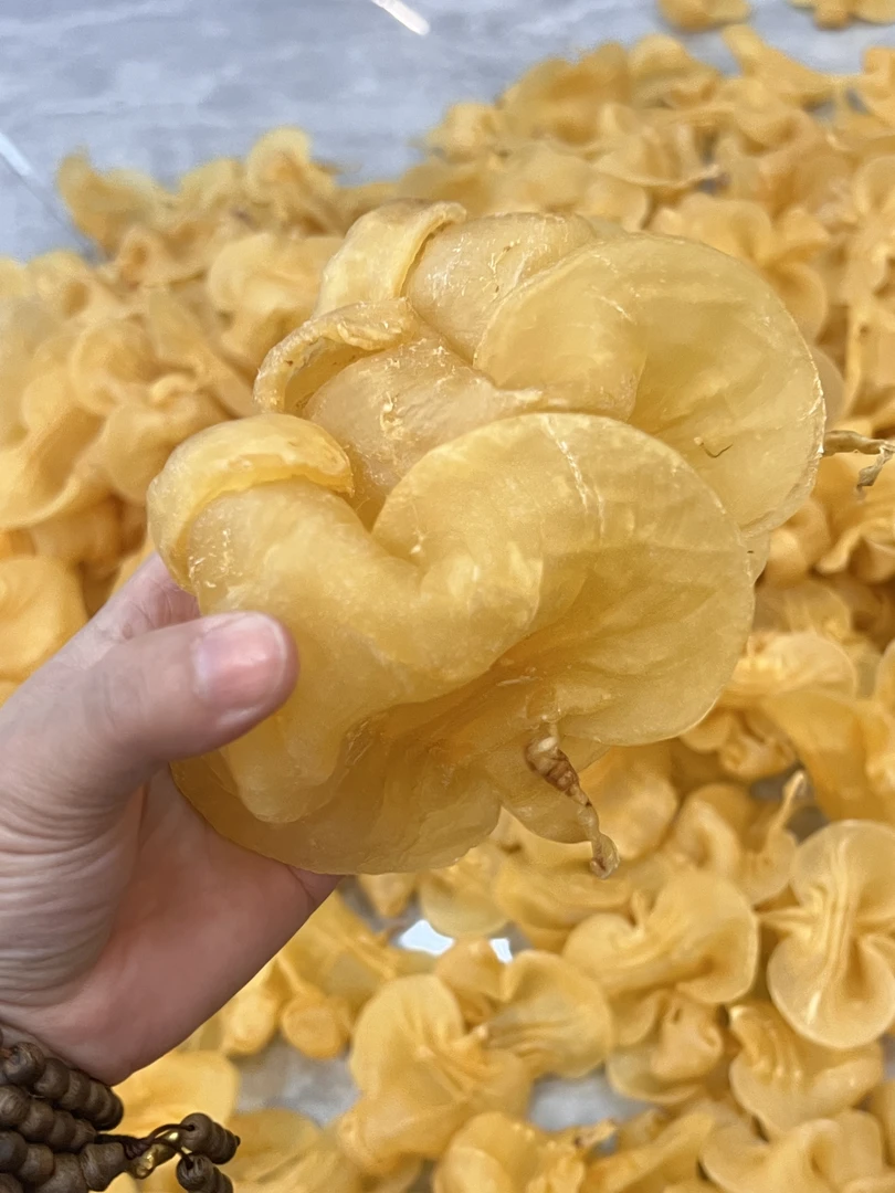【阿梅滋补行】石肚赤嘴公胶 以直播间为准