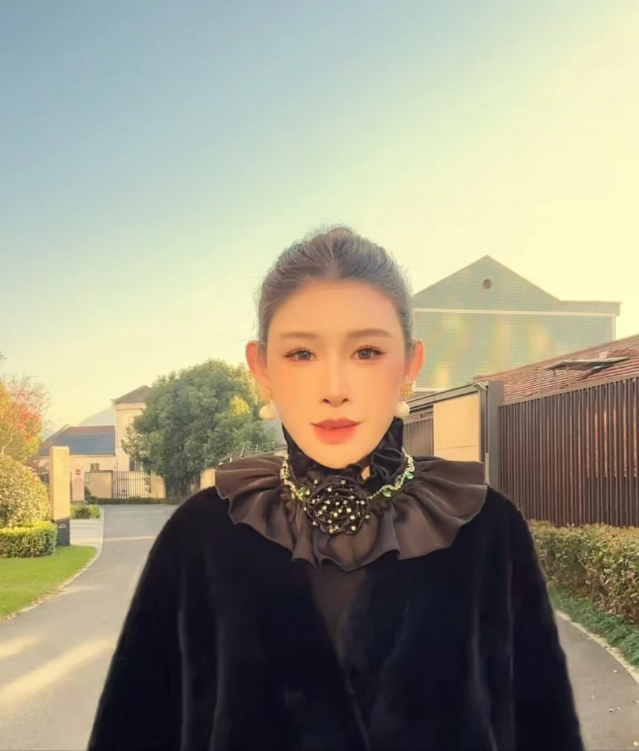 满钻一枝山茶花水钻叶片假领子AZ188