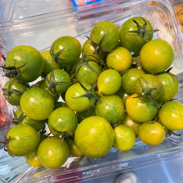 青夏绿色有机小番茄【1斤】番茄同城配