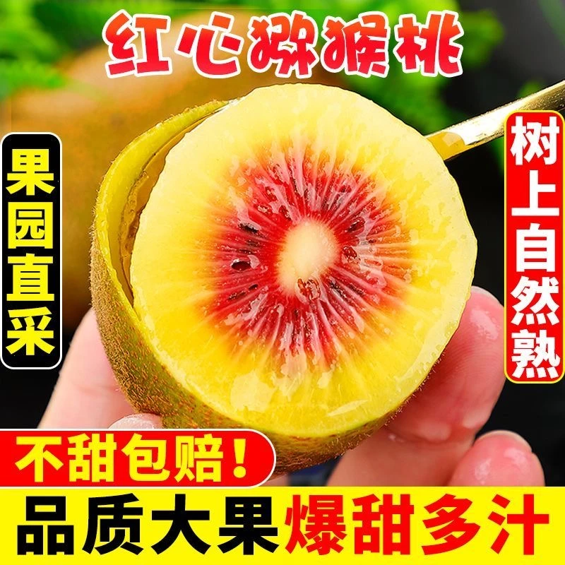 【12-20个】四川蒲江红心猕猴桃新鲜农家水果放软食用香甜可口果香