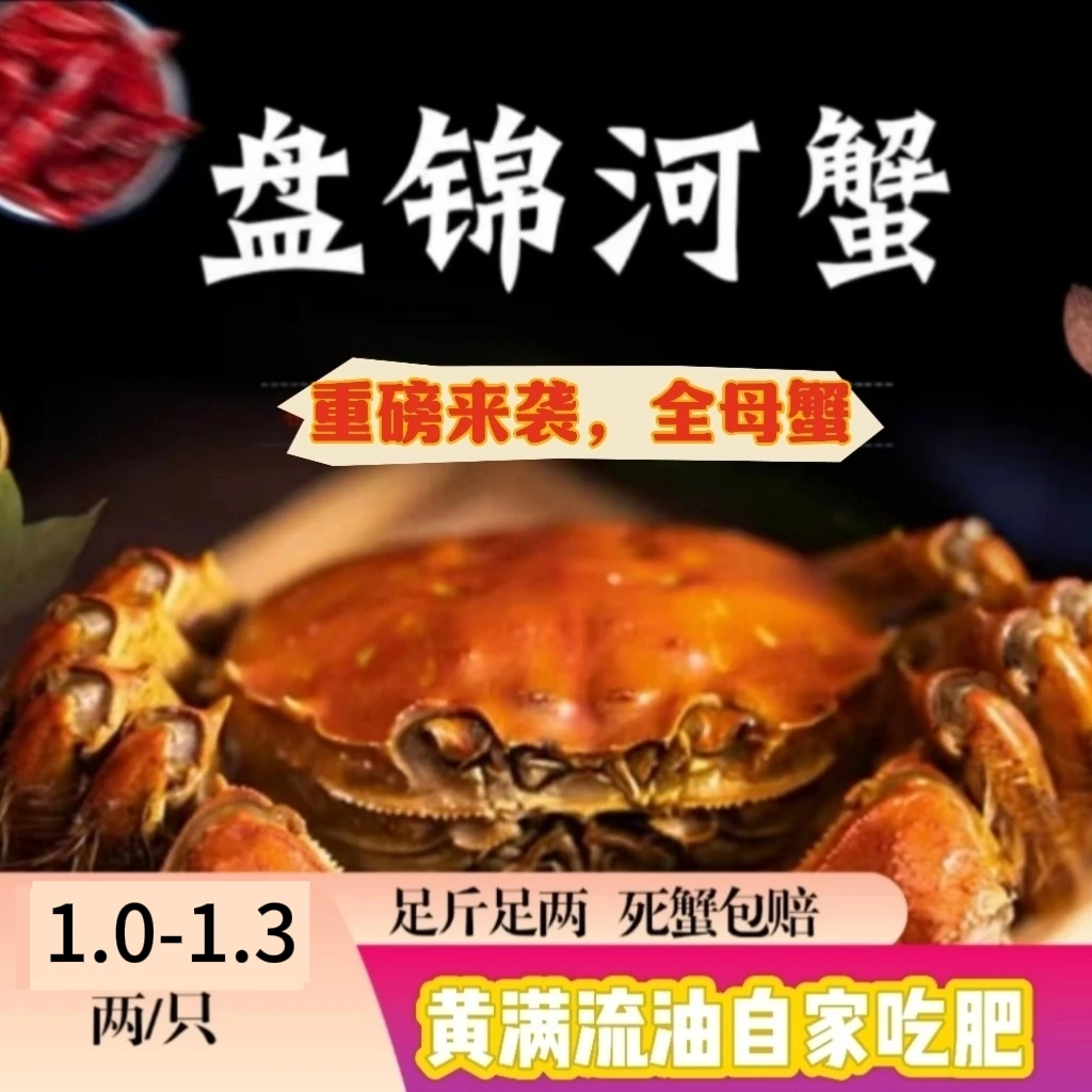 【活蟹】盘锦稻田母蟹1.0-1.3两/只，顺丰冷链包邮送货上门