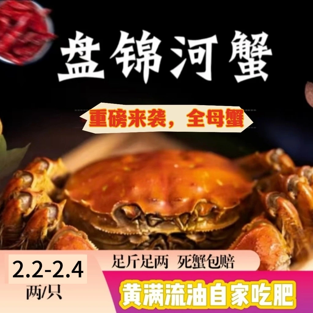 【活蟹】稻田母蟹，2.2-2.4两/只全程顺丰包邮送货上门，扣盒